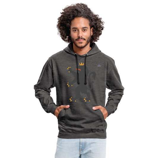 Sudadera con capucha en contraste"Urban lion" - charcoal/black